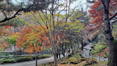 단풍명소_화담숲_이끼원