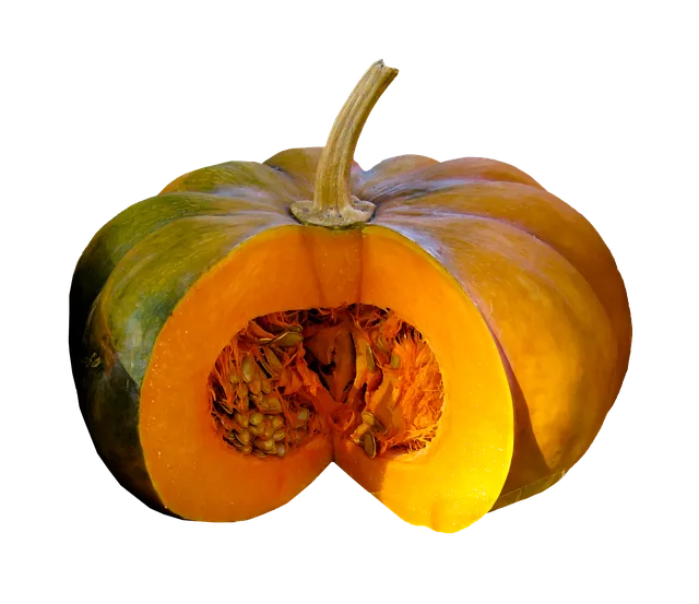 6월에 심는 밭작물 채소_3