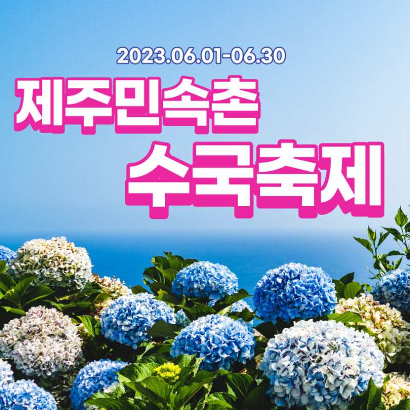 제주민속촌 수국축제