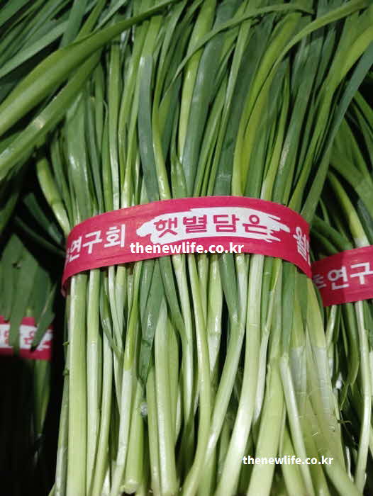 부추 효능 부작용 성질