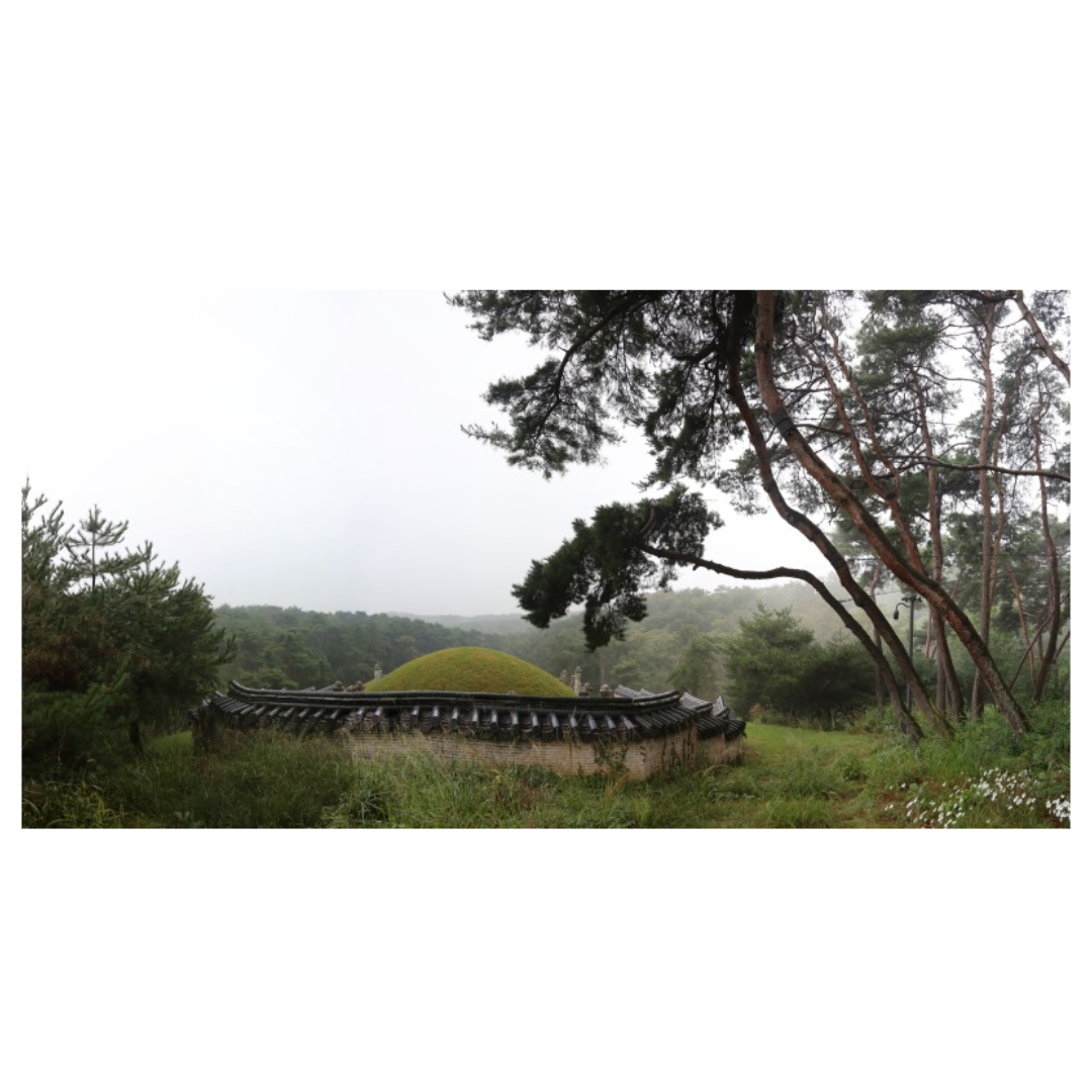 여주와 관련된 사진입니다.