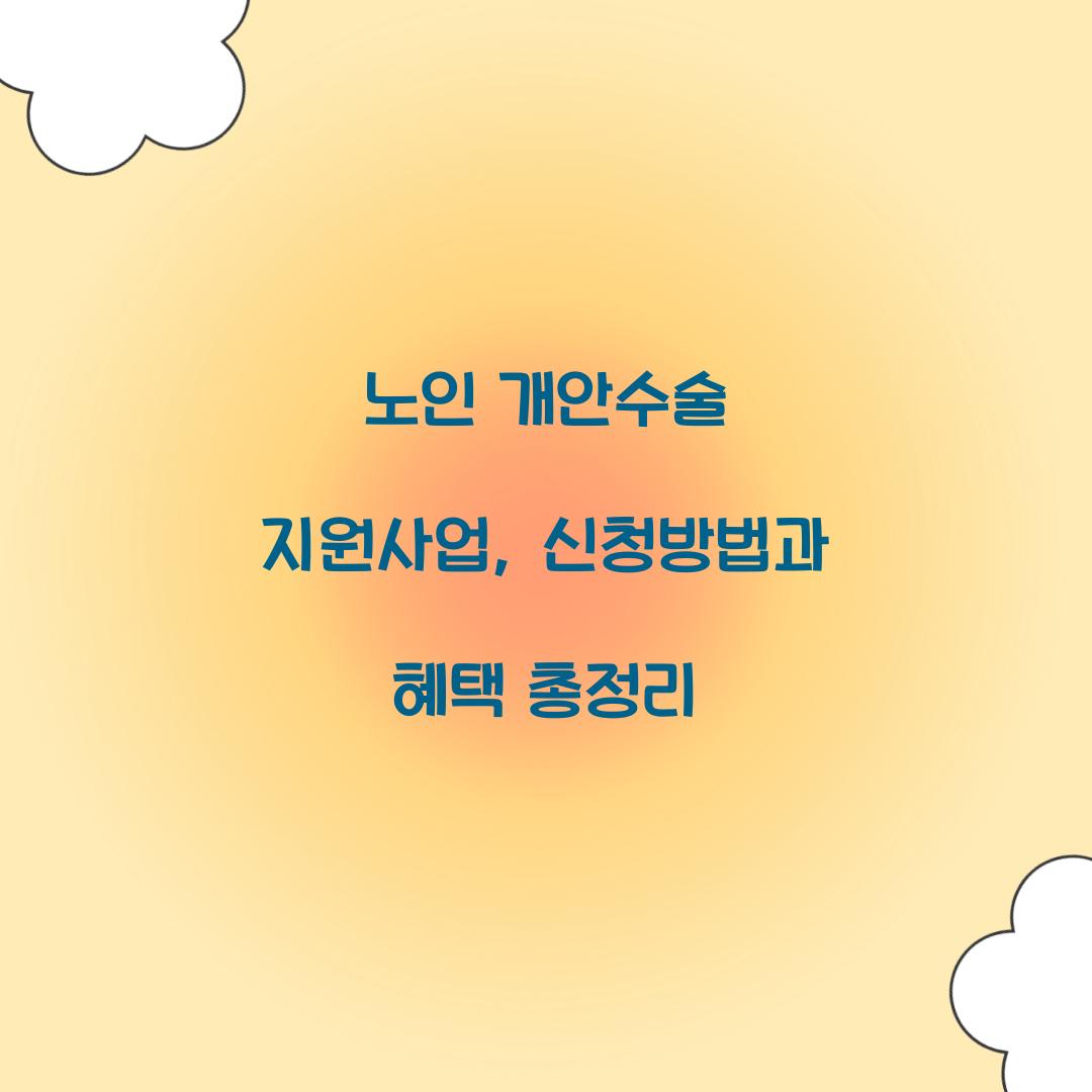 노인 개안수술 지원사업