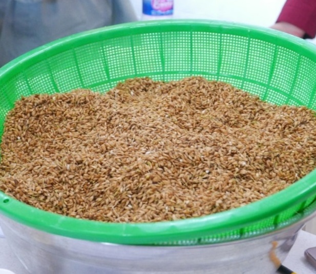 한국인의밥상-경기도-양주-벼누룩술