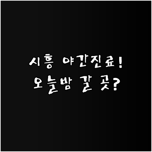 시흥시 야간 소아과 및 달빛어린이병원..