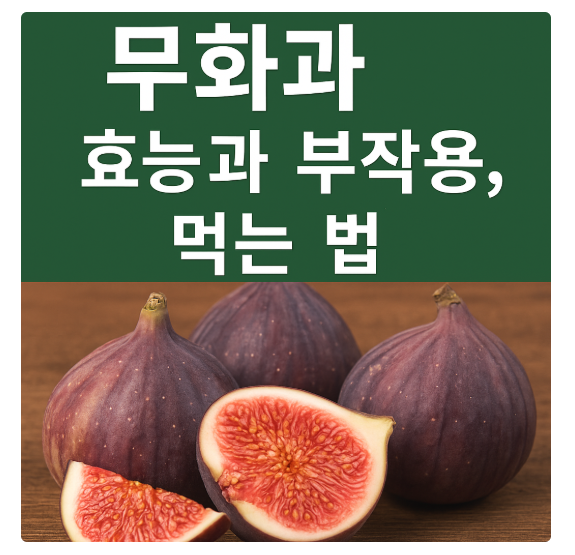 무화과 효능 부작용