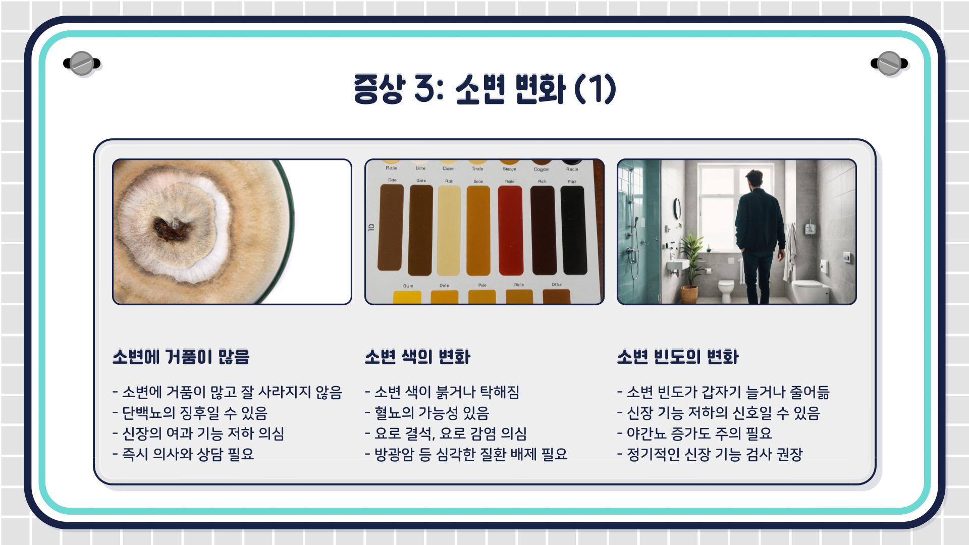 신장이 안좋으면 나타나는 증상