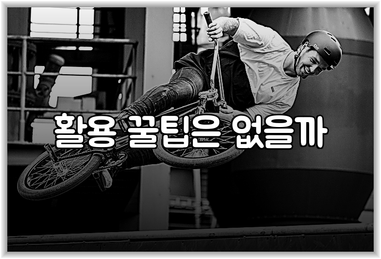 활용 꿀팁은 없을까