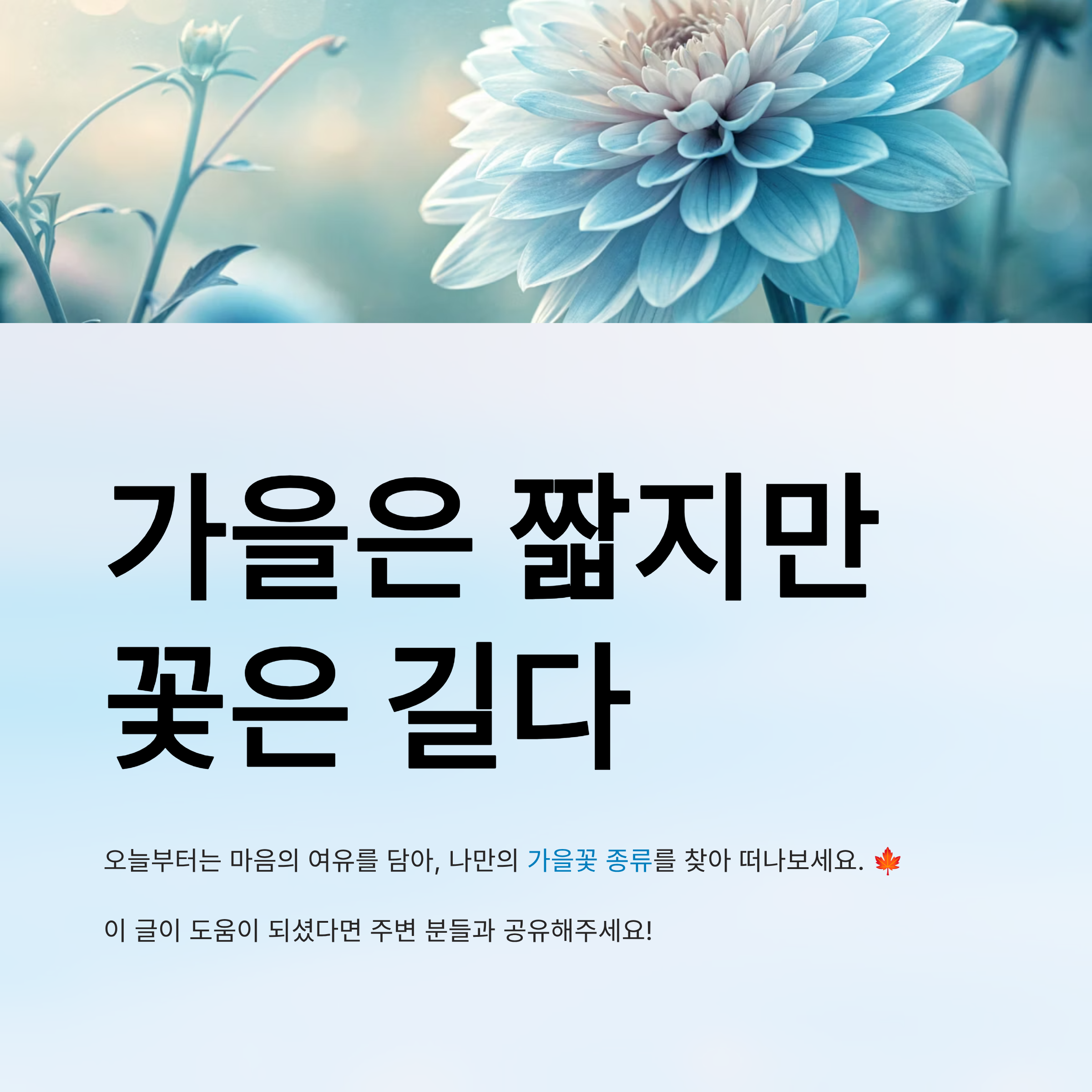 가을꽃 종류 알아보기
