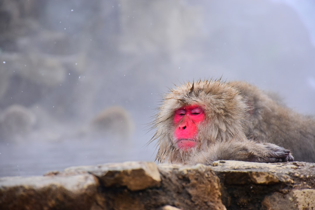 Onsen