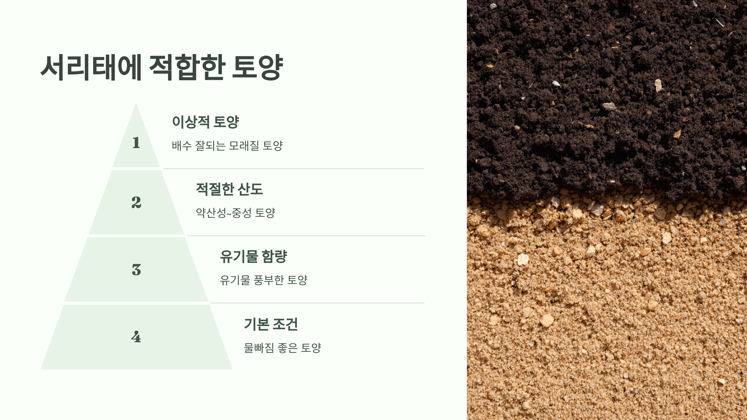 서리태 사진입니다.