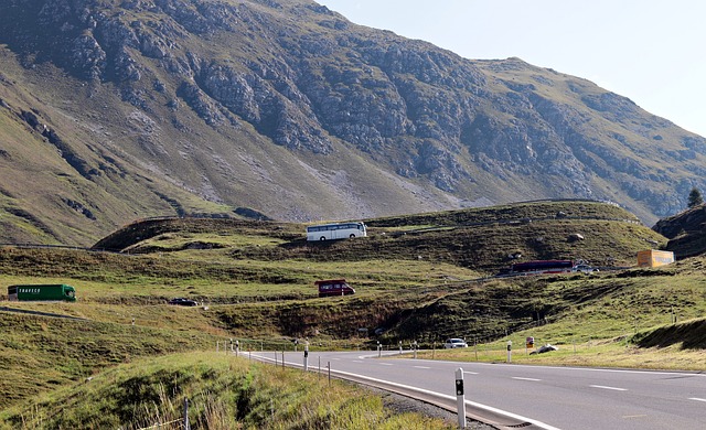 여권 온라인 재발급