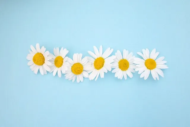 오이지 담그는 방법 오이소박이 황금 레시피_5