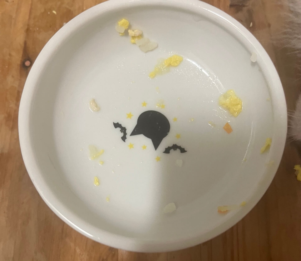 강아지_닭죽_만들기