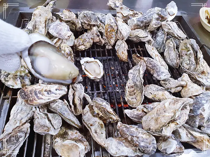 진심 가득 건강 담은 맛 여수 맛집 추천 생방송투데이 굴 구이 오늘방송 자족식당