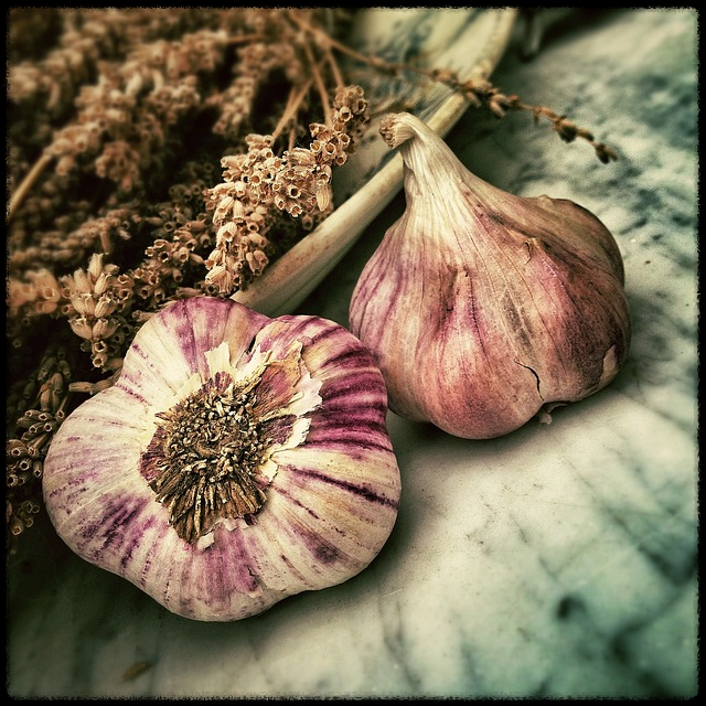 마늘 효능 이미지5