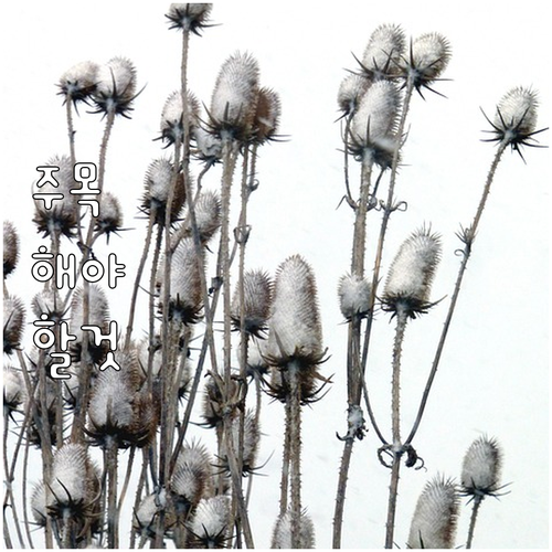 2025 전남 5.18 민주유공자 생..