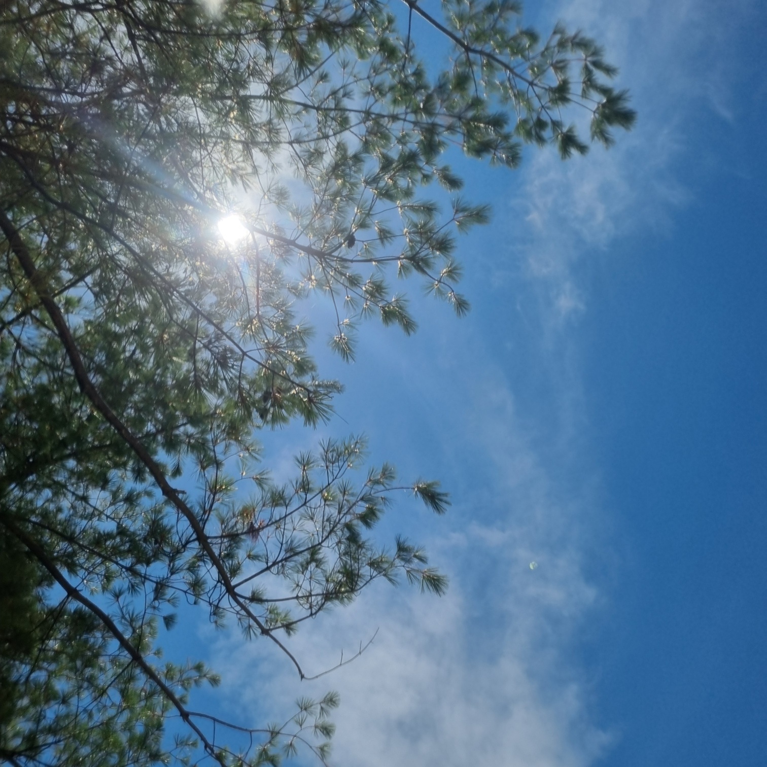 2025 덕산 스플라스 워터파크│온천수 워터파크&middot;워터슬라이드&middot;스파존 완전정복