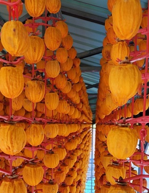 충북-영동-반건시-곶감