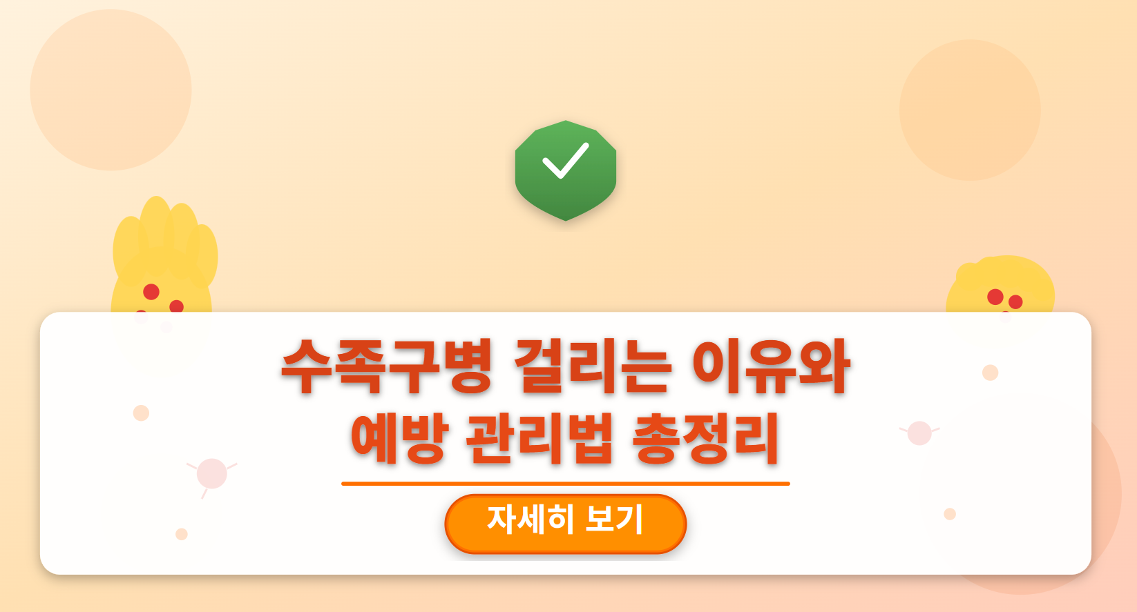 수족구병 걸리는 이유와 예방 관리법 총정리