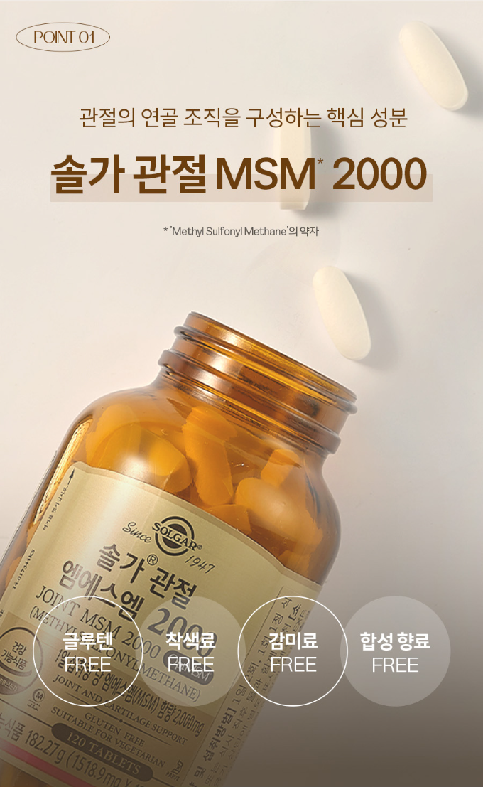네고왕 솔가