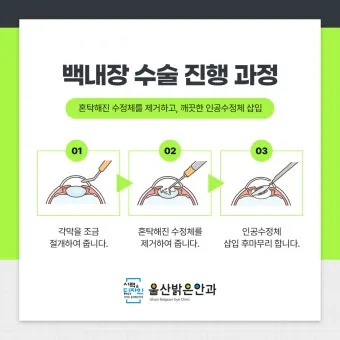 백내장 수술 비용 실비 보험 청구 회복기간_18