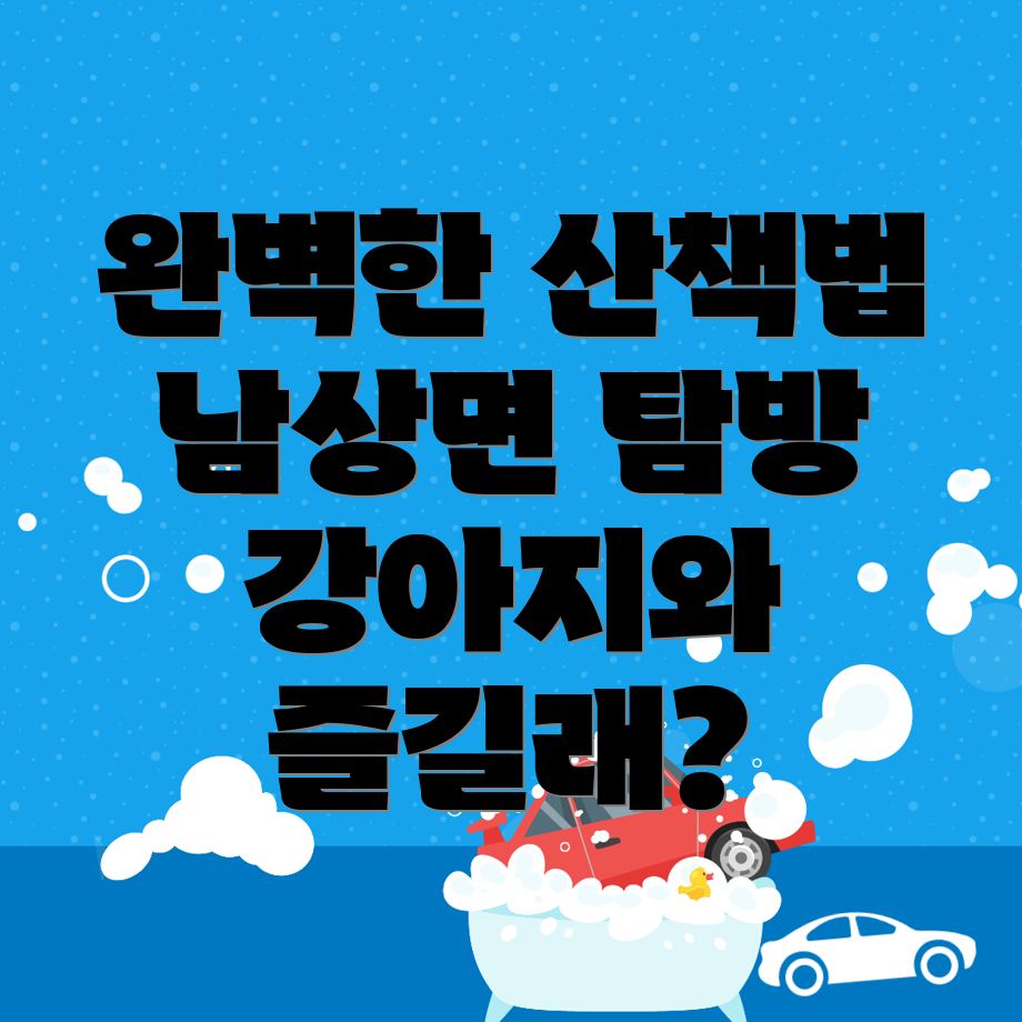 강아지 산책