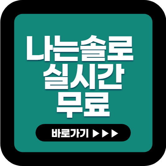 나는 솔로 실시간