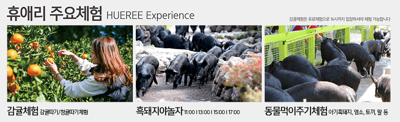 제주 휴애리 체험 프로그램