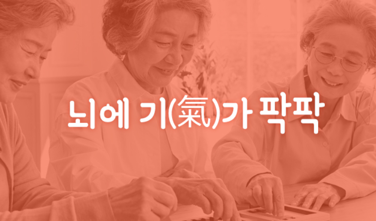 뇌에 기(氣)가 팍팍 서비스