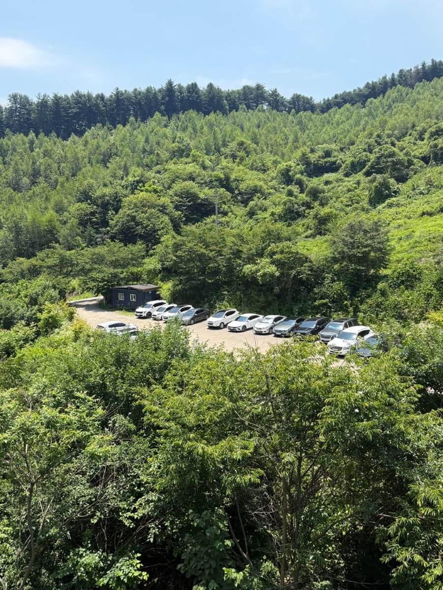 가평 카페 릴리 넓은 전용 주차장