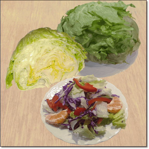 양상추 샐러드