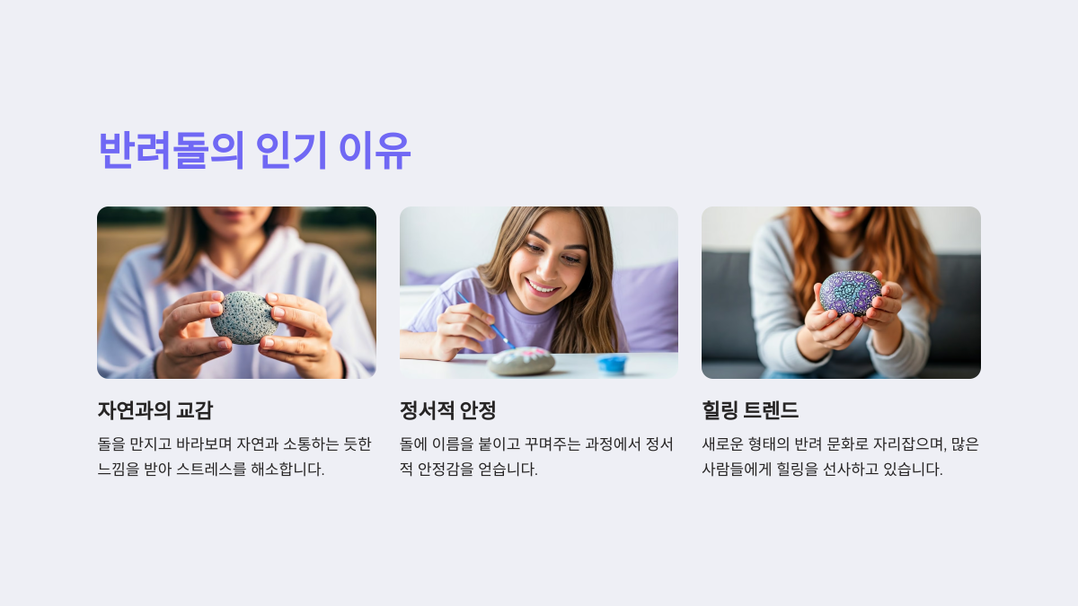 반려돌이 인기