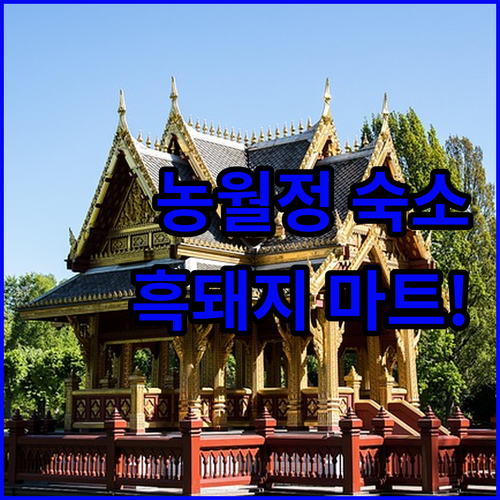함양 농월정 여행 숙소 추천 및 지리..