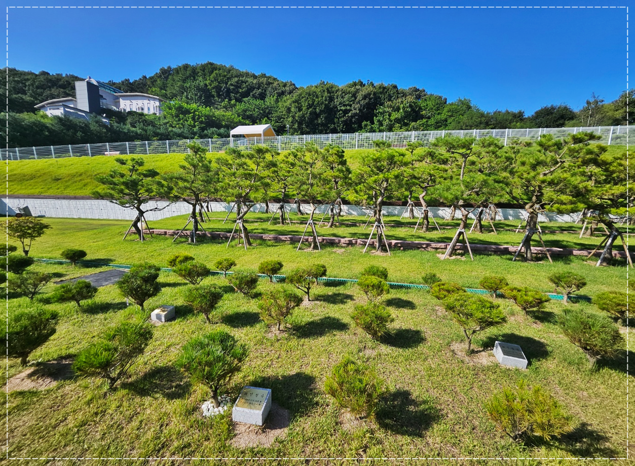 경기도 광주수목장 가격 비용
