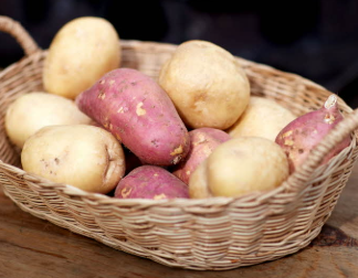 고구마 vs 감자 고탄수화물 식품의 건강 비교