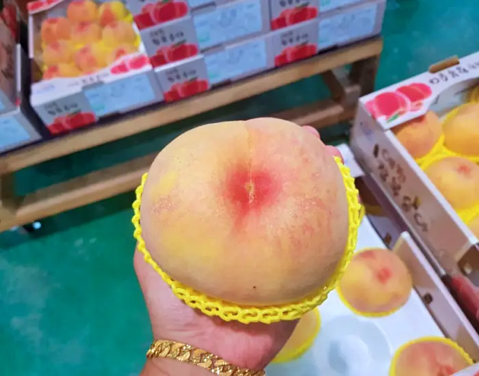 생방송오늘저녁 경북 예천 고부면 어떠리 황도 백도 딱딱이 반말랑이 전국택배 인터넷 스마트스토어 복숭아 파는 곳 추천