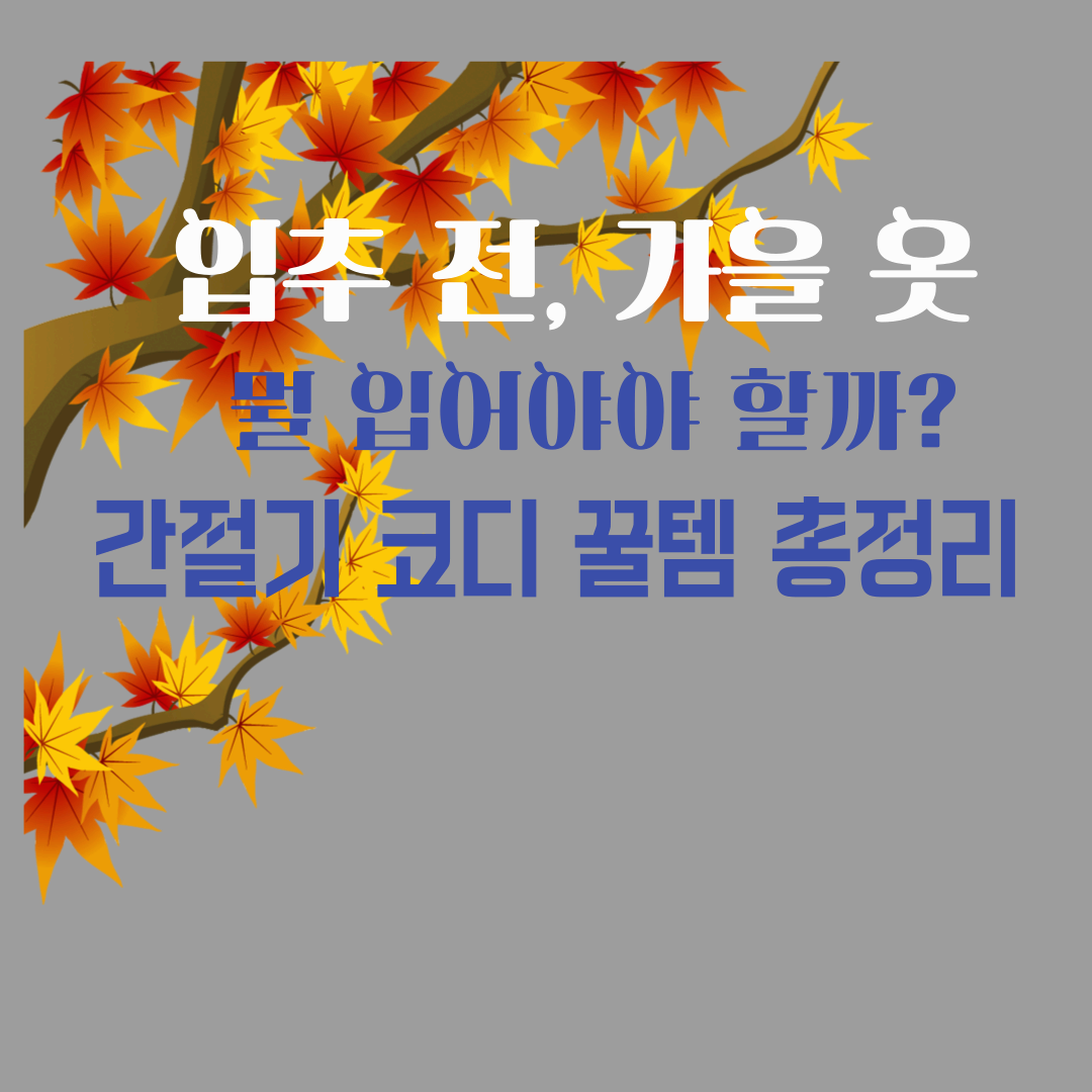 입추 전 가을패션 총정리