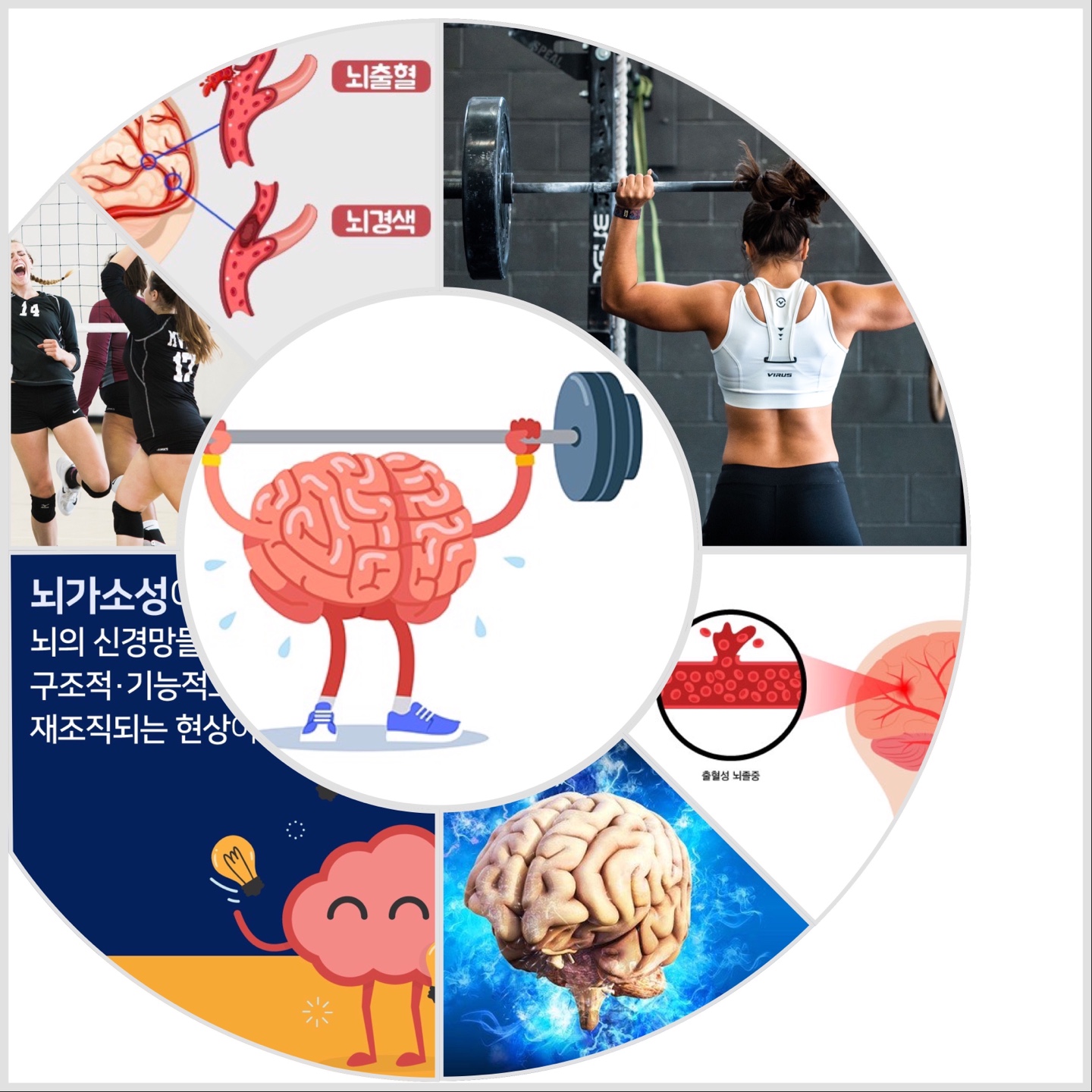 여성치매 운동이 답이다