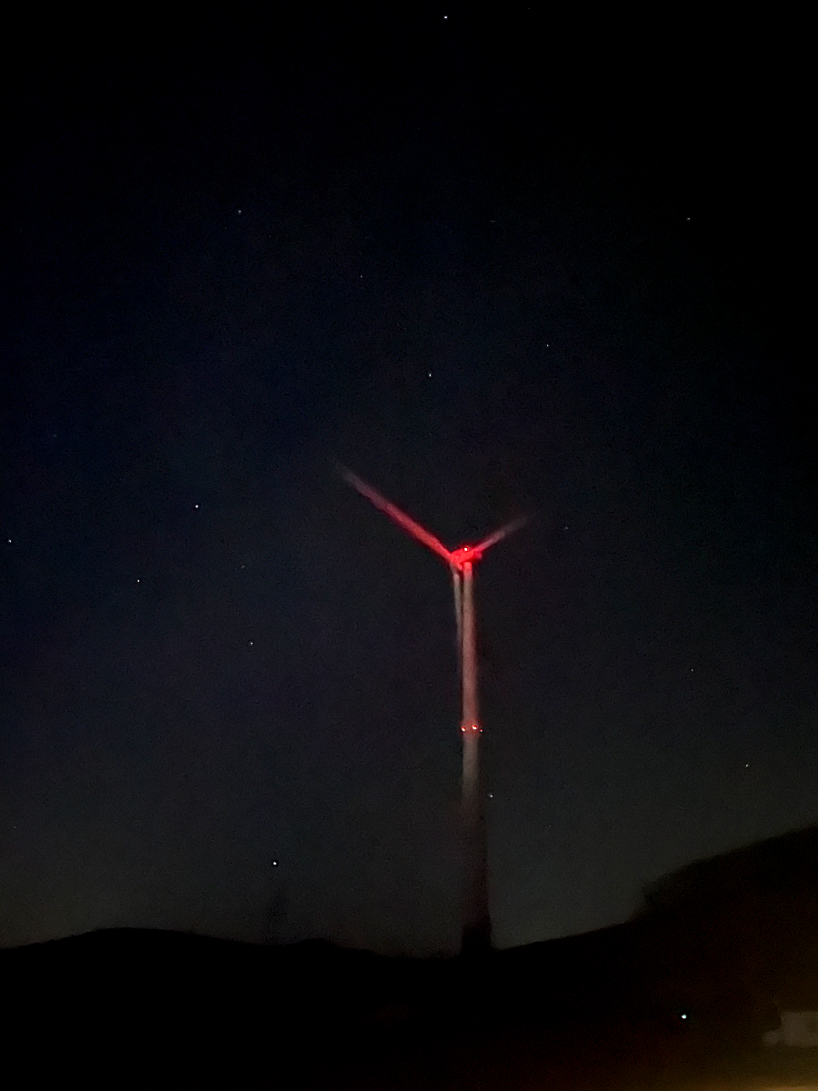 추운 겨울 정선 2박3일 여행 가볼만한 곳