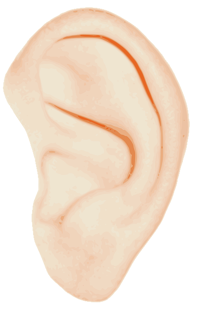 귓볼 몽우리 염증 여드름