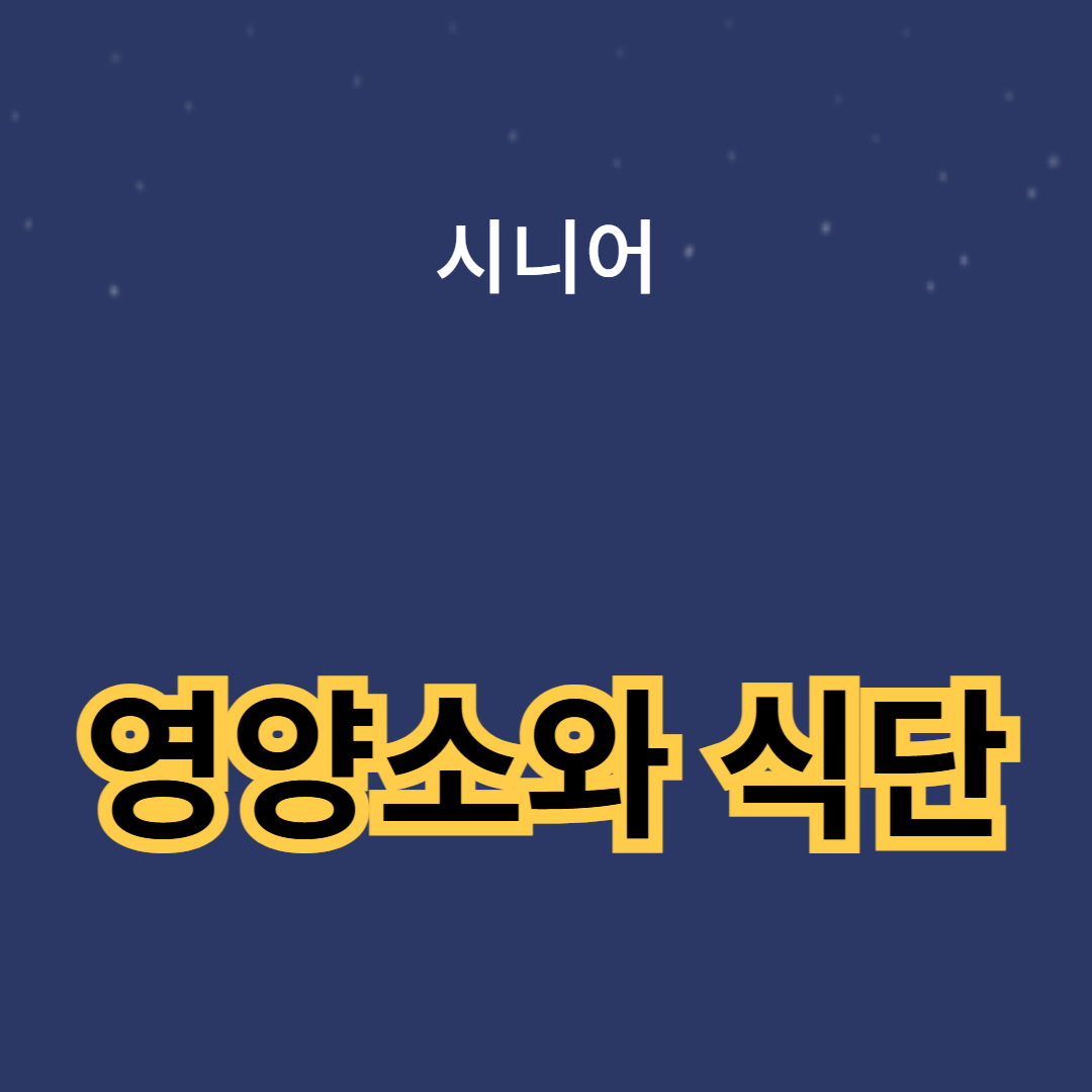 노후에 꼭 챙겨야 할 영양소와 식단 가이드