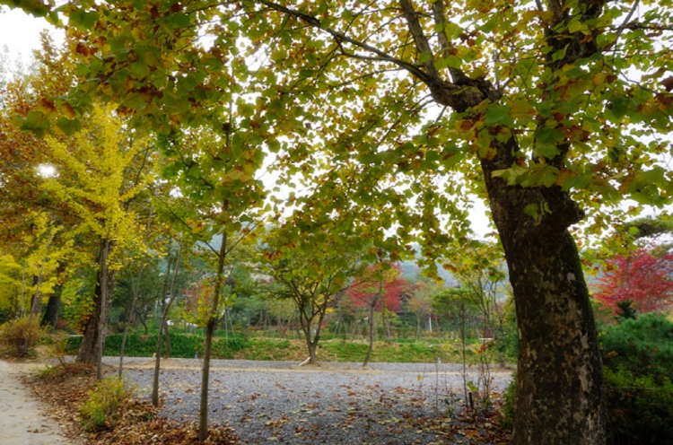 양평수목원캠핑장