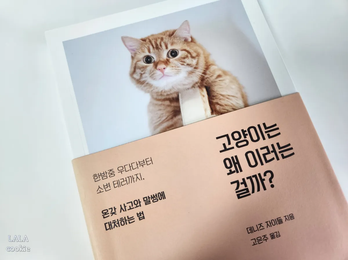 브랜딩-예시-고양이책-고양이는-왜-이러는걸까?