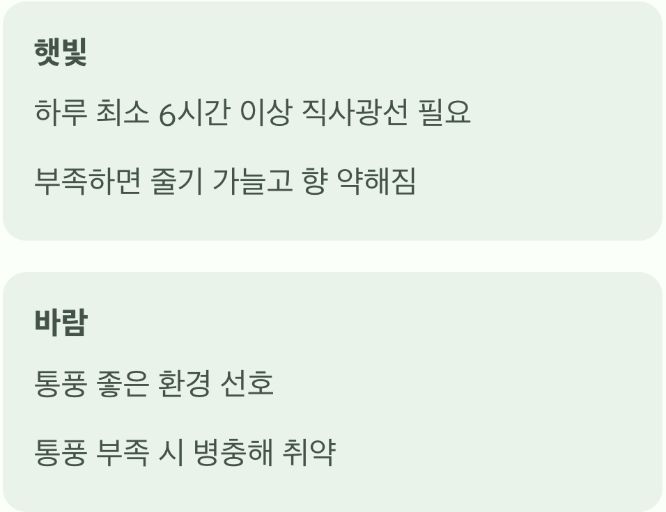 햇빛과 바람&amp;#44; 최고의 보약