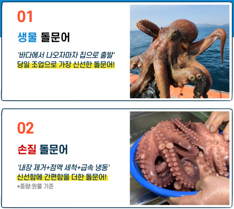6시내고향 자연산 돌문어 손질문어 구매 택배 정보 경남 남해 남해뱃놈