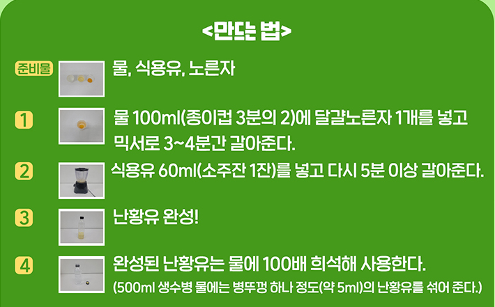 실내식물 튼튼하게 기르는 법