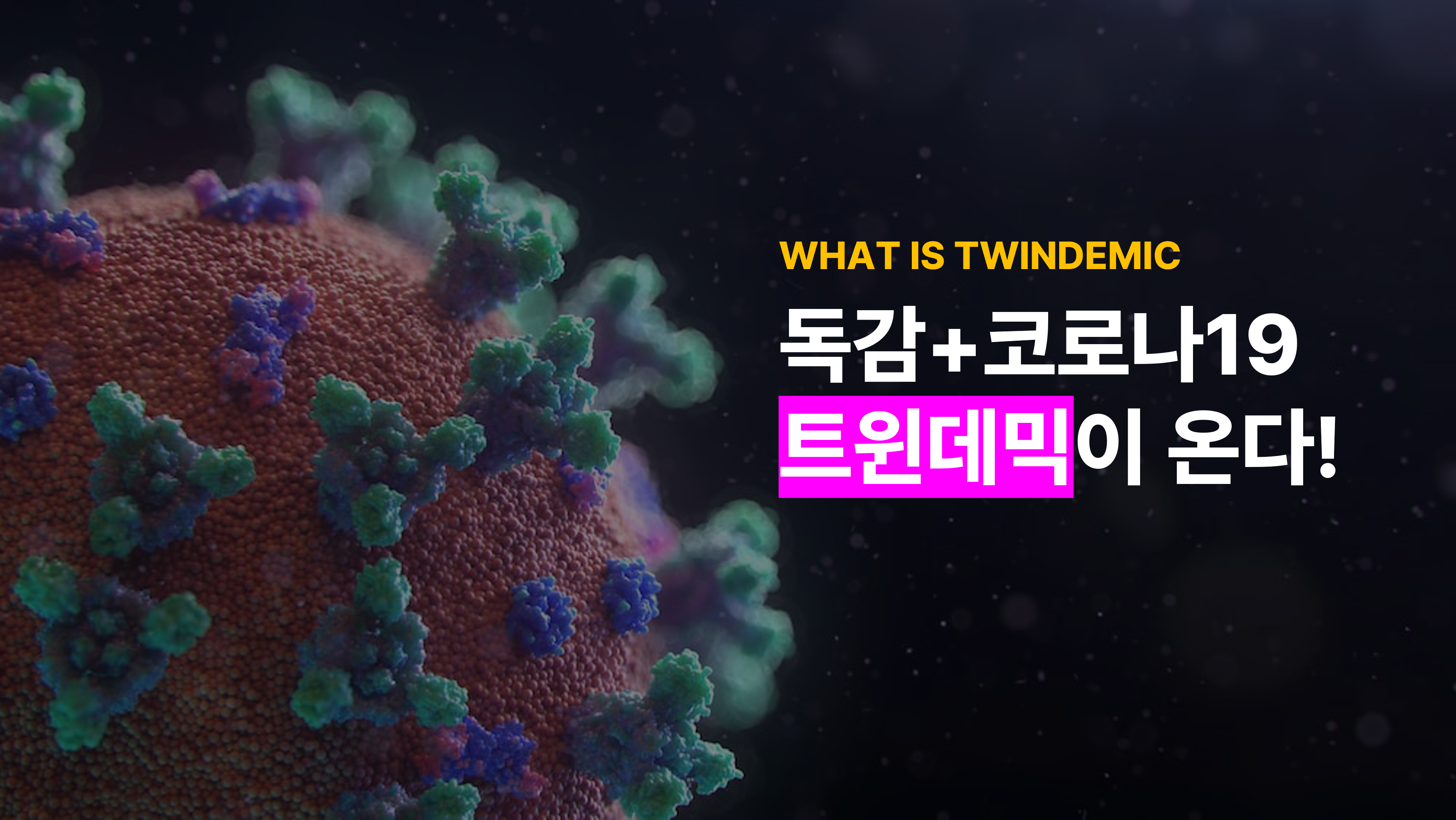 독감 코로나 트윈데믹 뜻