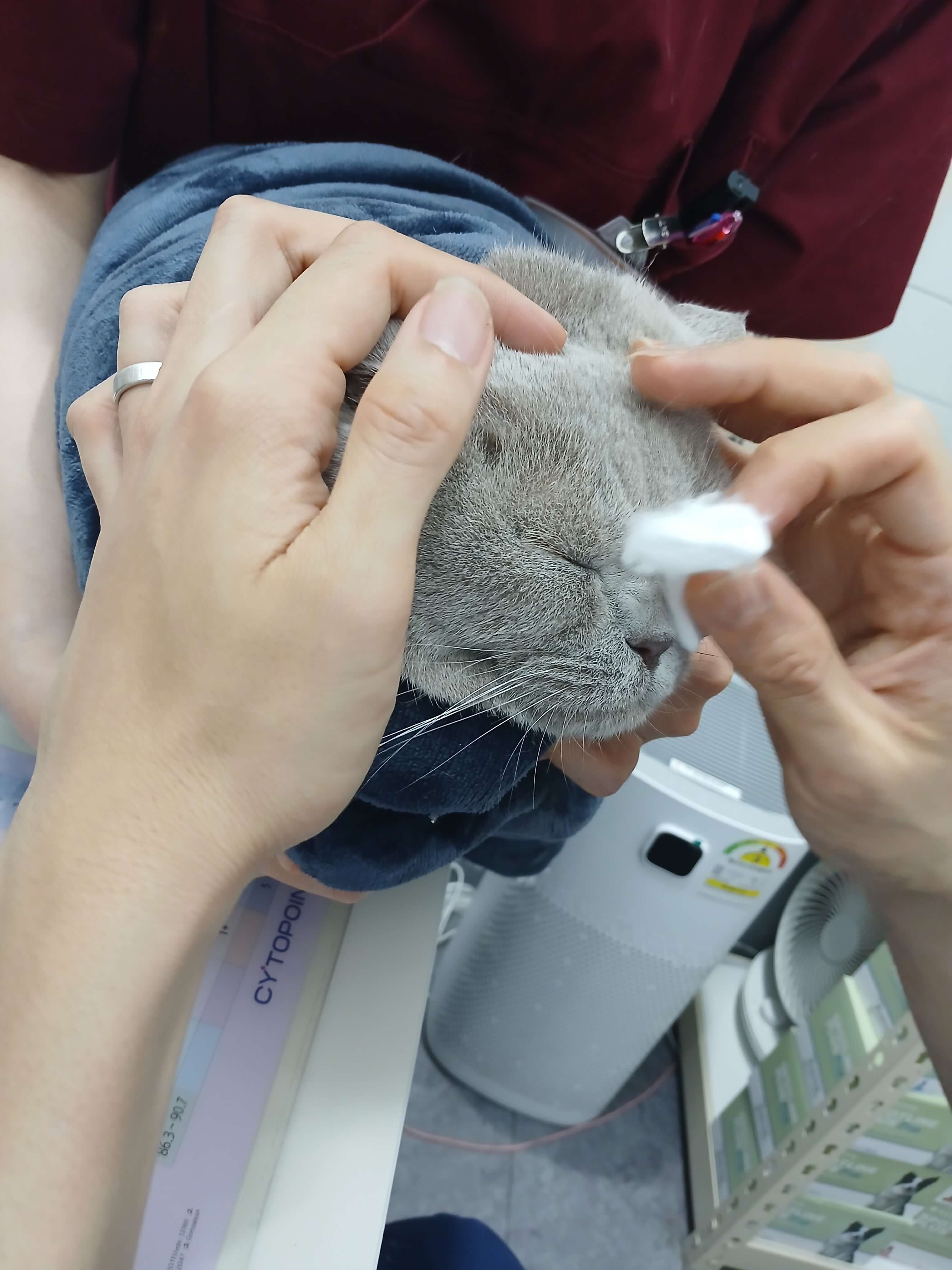 의사쌤이 눈곱을 닦아주고 있어요