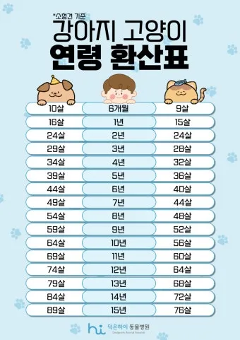 고양이 나이 계산법, 아는법, 나이 추정, 사람 나이로 환산_30