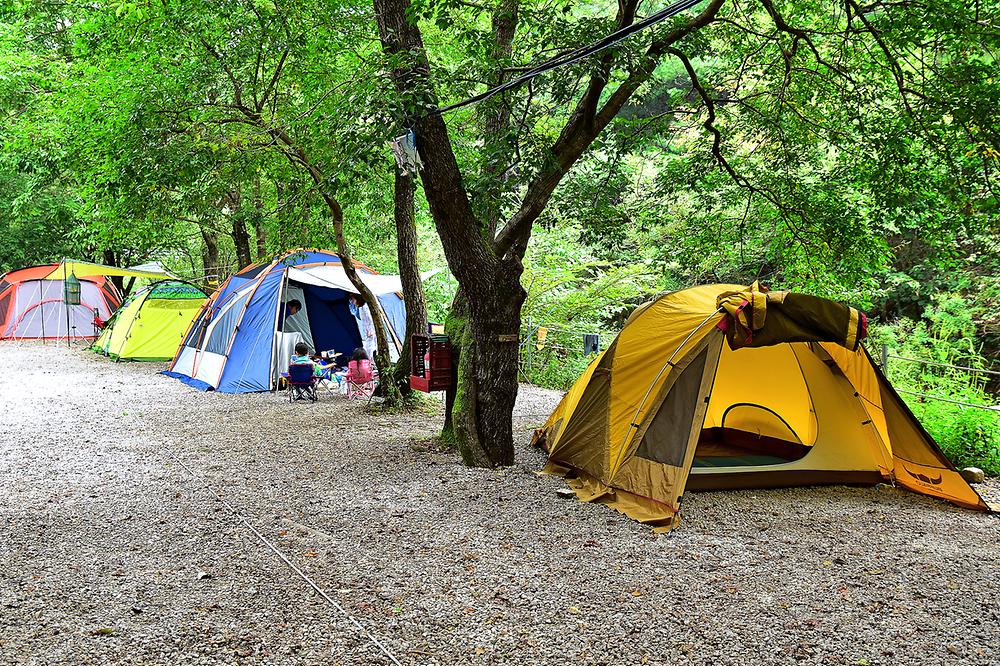 경기도 포천계곡갬핑장 소개